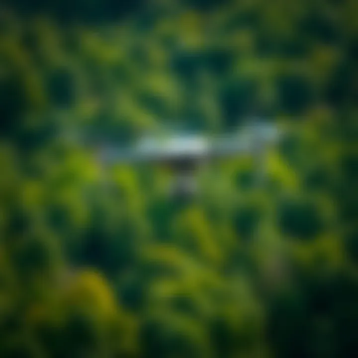 A drone flying over a lush green forest symbolizing environmental monitoring and protection efforts