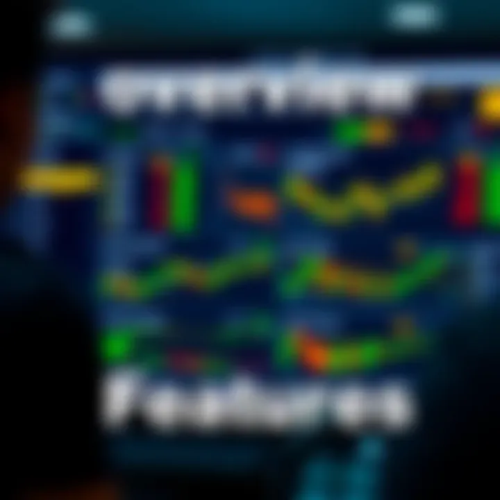 Dashboard displaying option trading platform features and market data for South African investors